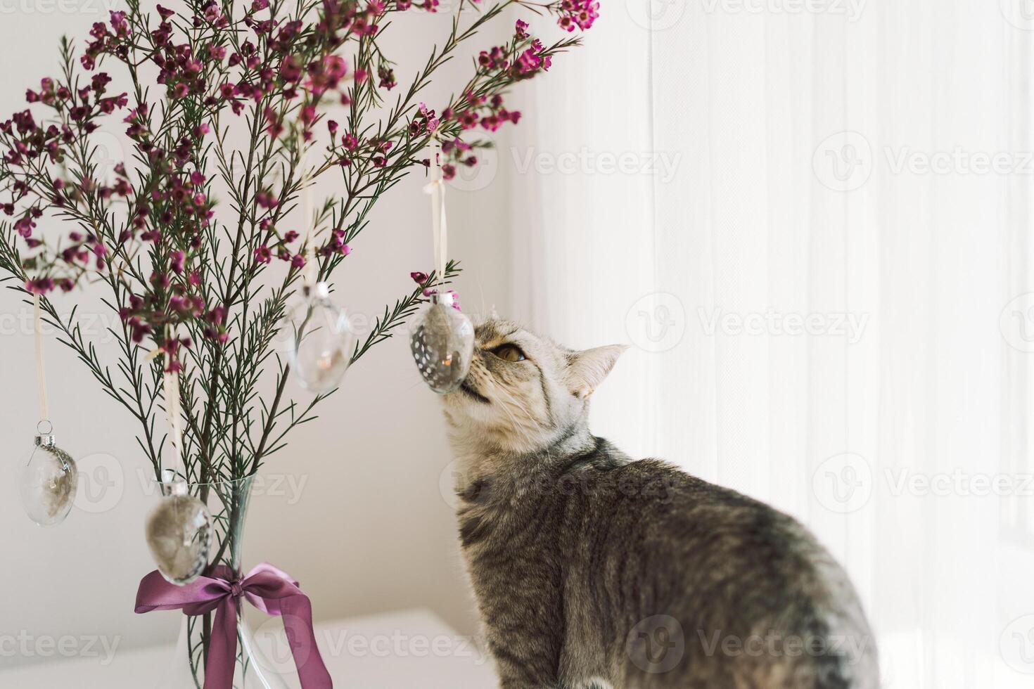 Easter eggs hang on a sprig of flowers in a transparent vase and cat photo