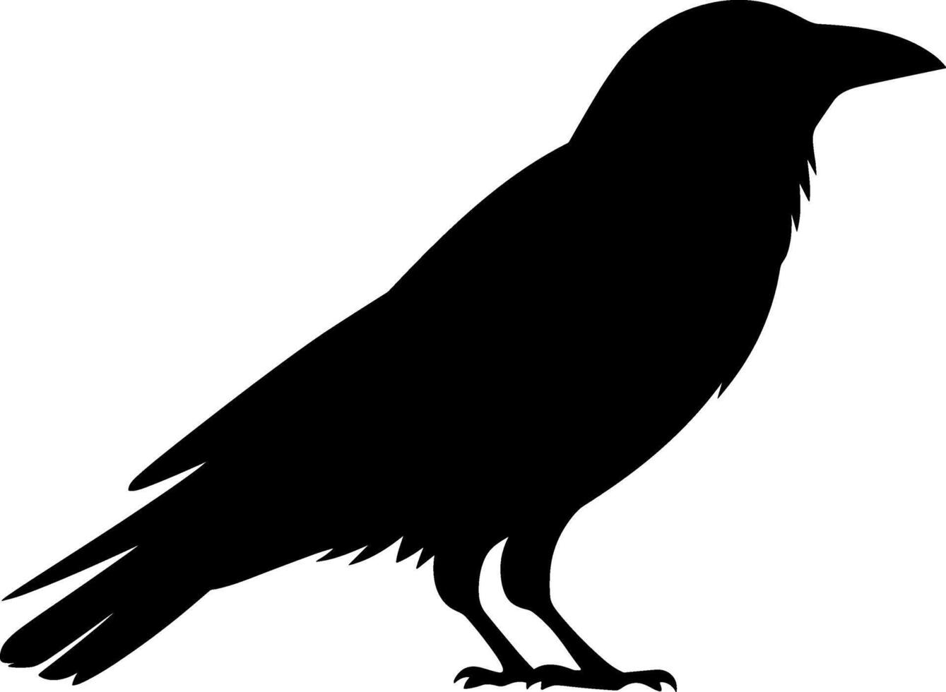 Crow Silhouette Standing on Ground vector