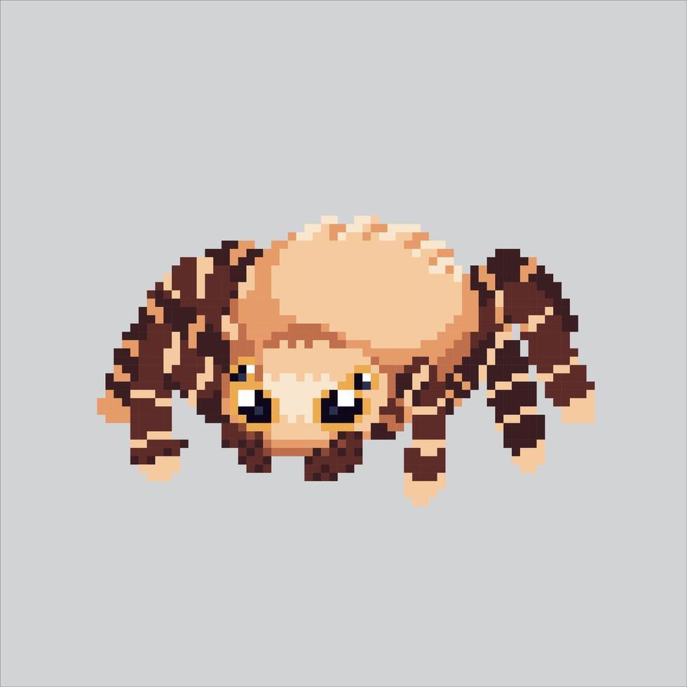Pixel art illustration Spider. Pixelated Tarantula. Spider Tarantula Insect Icon pixelated for the pixel art game and icon for website and game. old school retro. vector