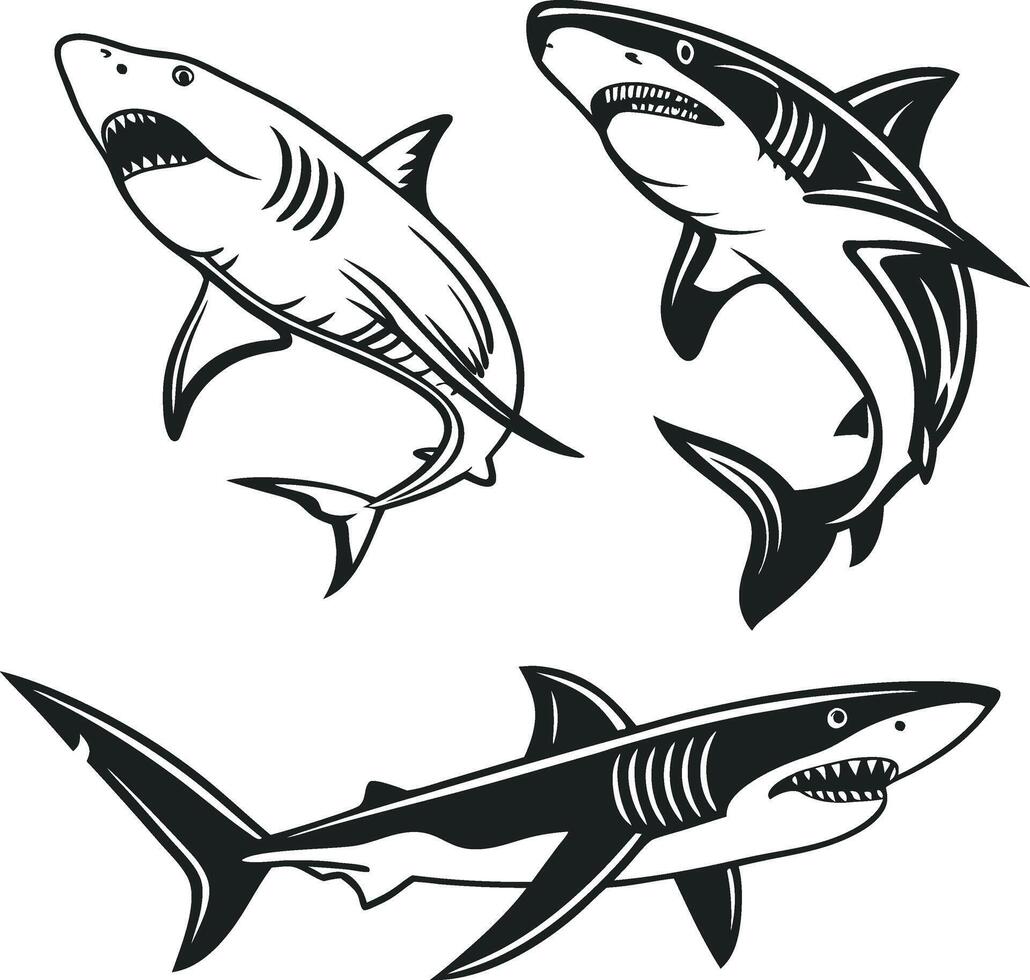 Simple Black and White Shark Design vector