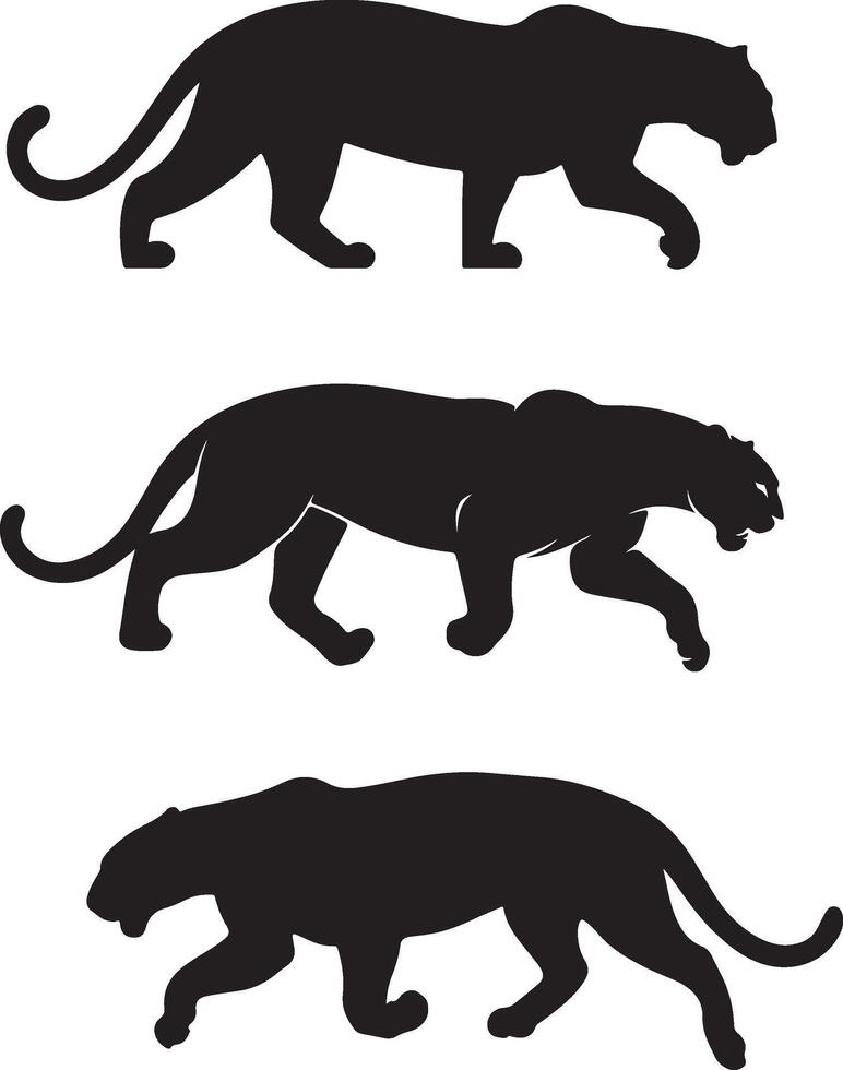silhouettes of panthers on a white background vector