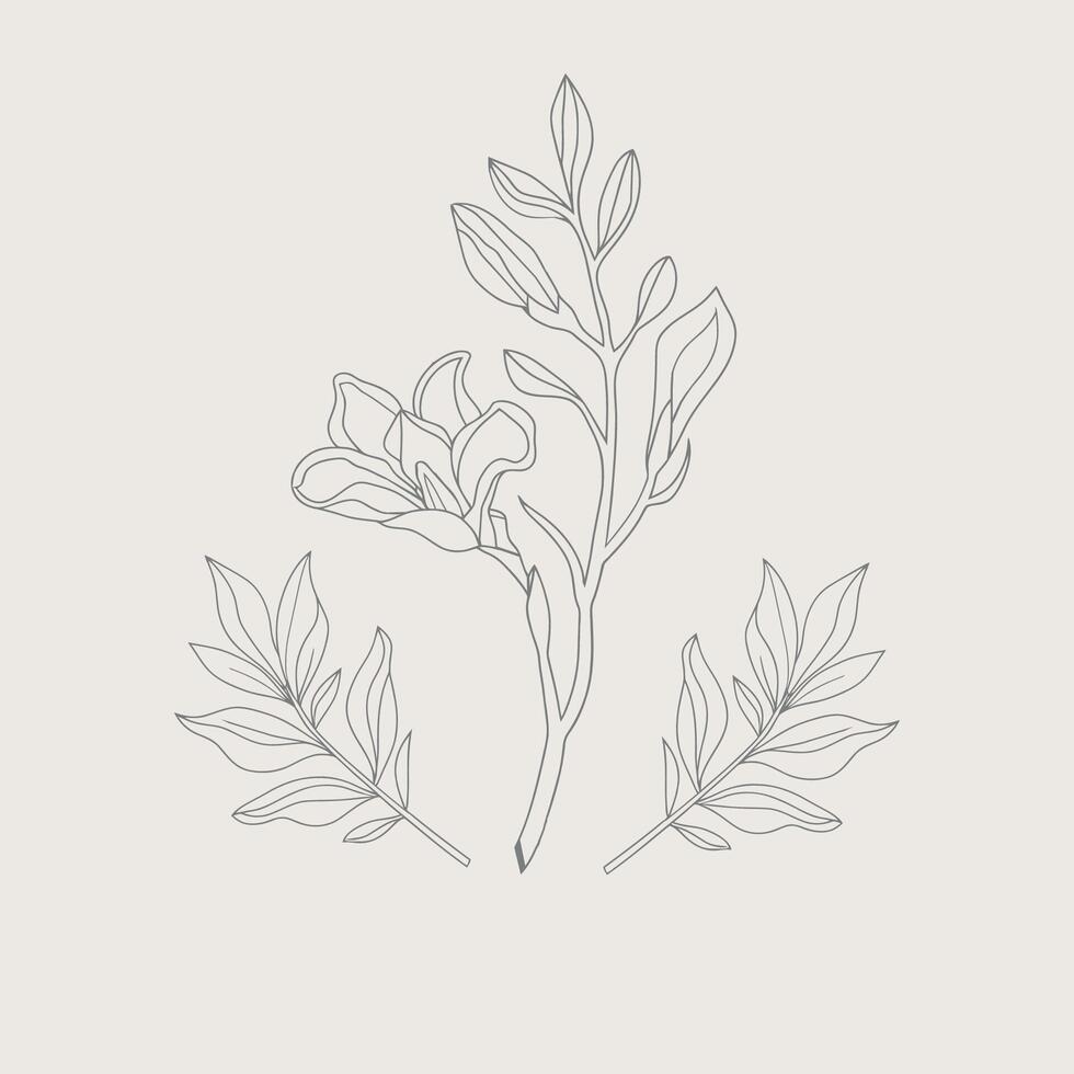 Floral design arts vector