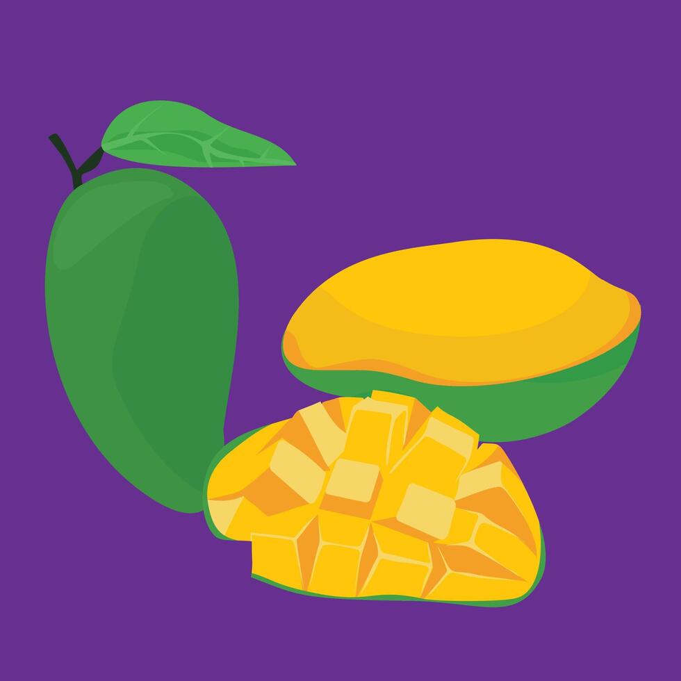 mango flat design tropical fruit sliced mangosteen vector