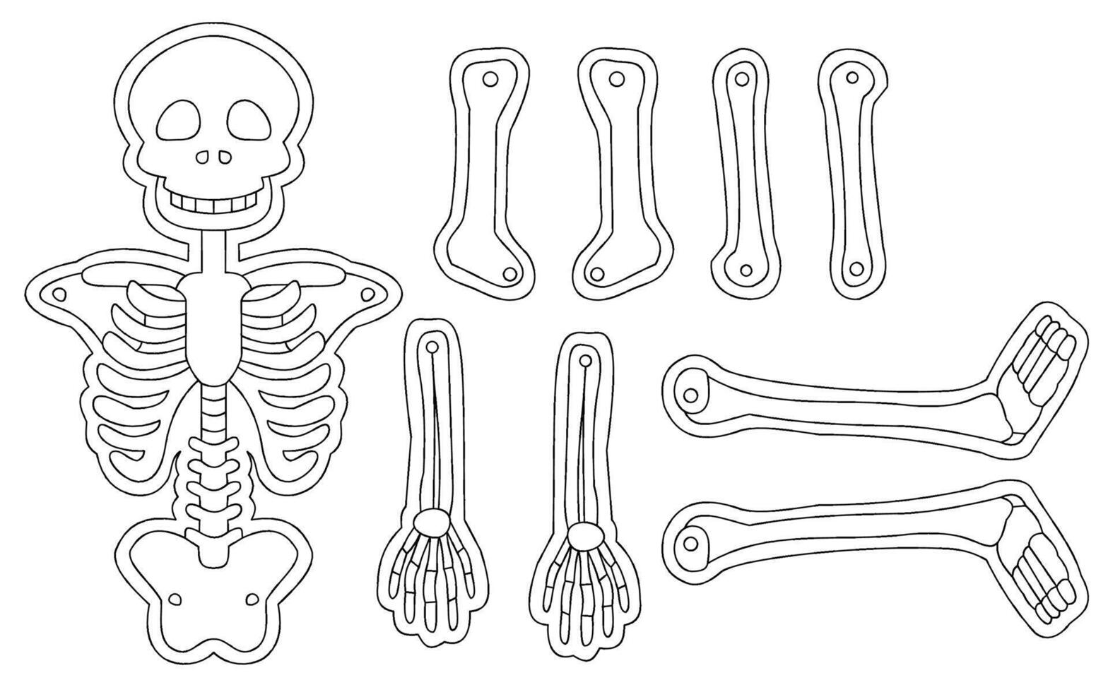 Printable Skeleton Cutout Template for Educational and Halloween Activities vector