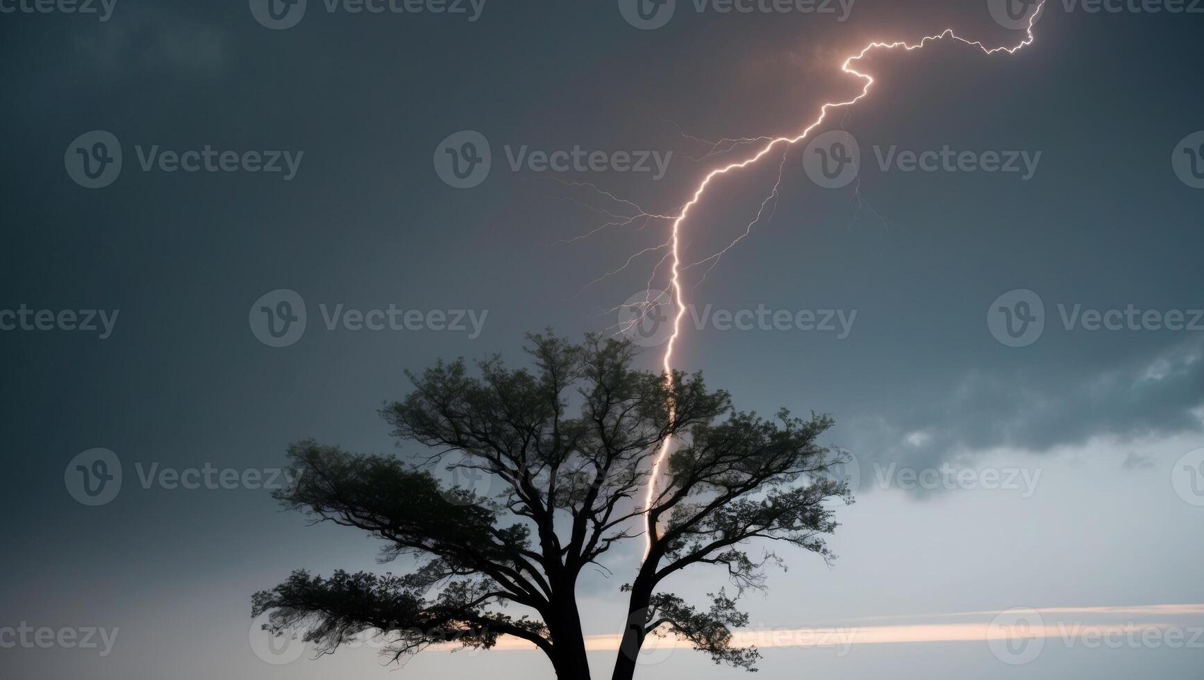 A lightning bolt strikes a tree in the middle of a field photo