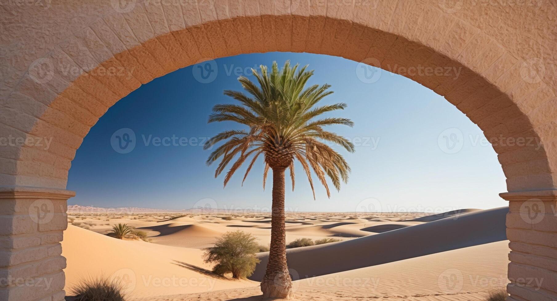 Palm tree in the desert photo