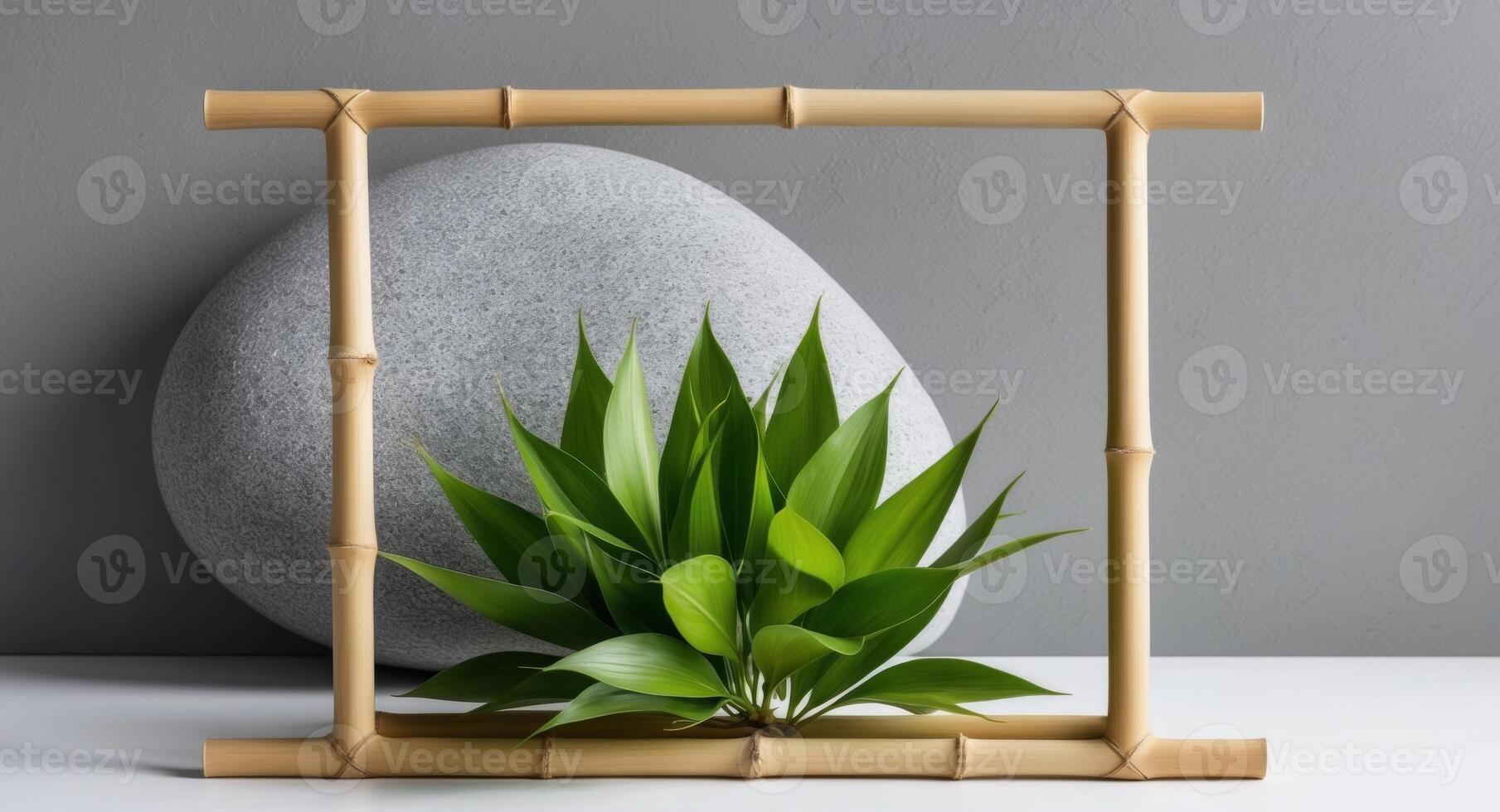 Bamboo frame with green plant on grey background photo