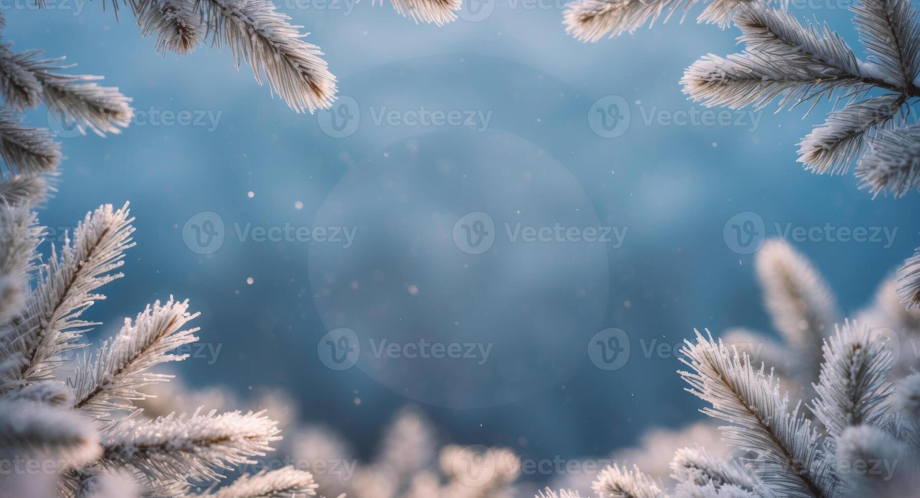 Winter background with snow and branches photo