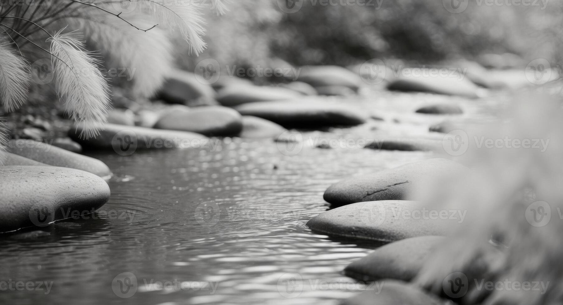 A black and white photo of a stream with rocks and grass