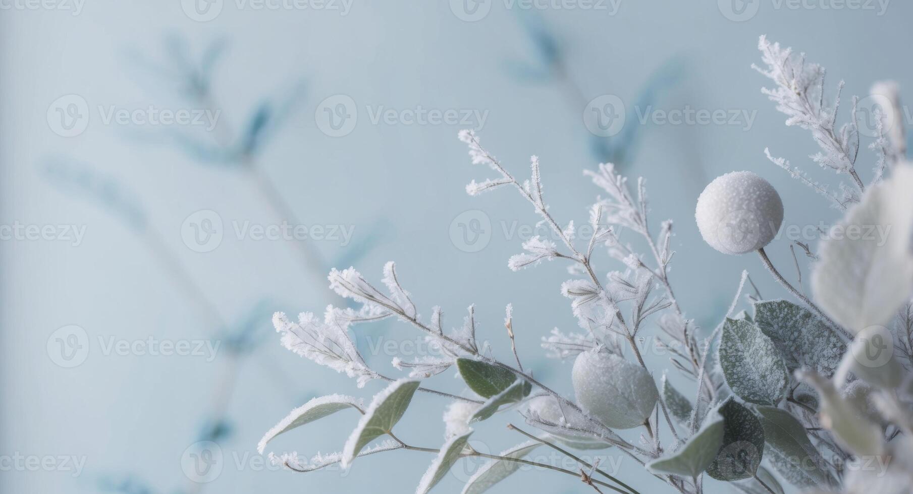 A vase with white flowers and leaves on a blue wall photo