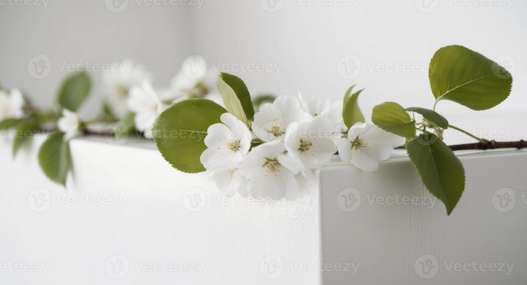 White flowers on a white shelf photo