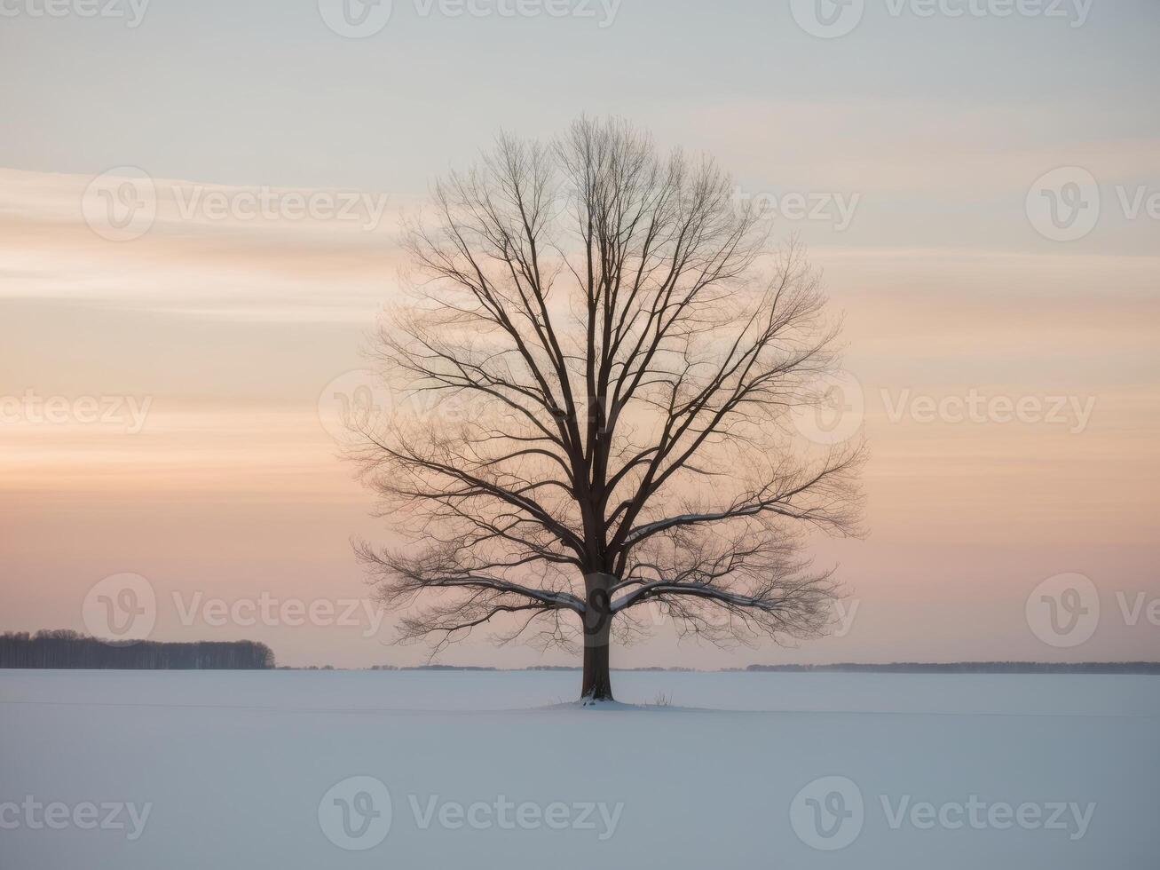 A lone tree stands in the middle of a snowy field photo