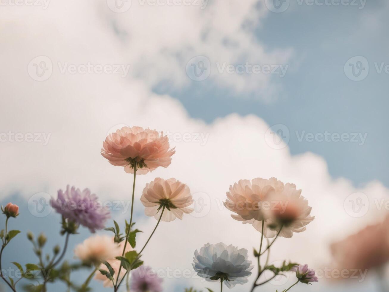 Flowers against the blue sky photo