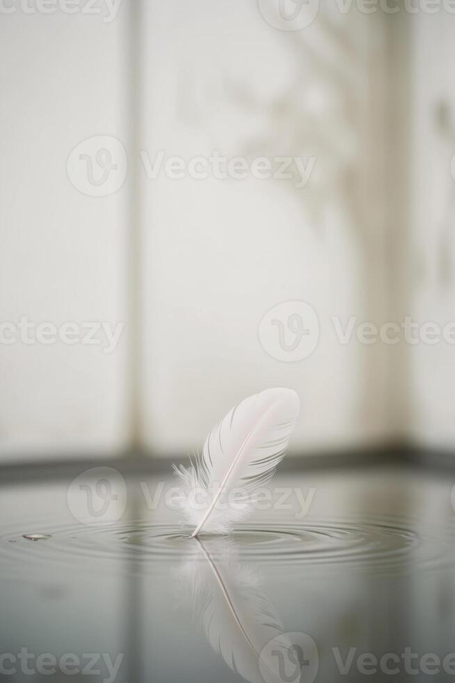 A white feather floating in water on a table photo