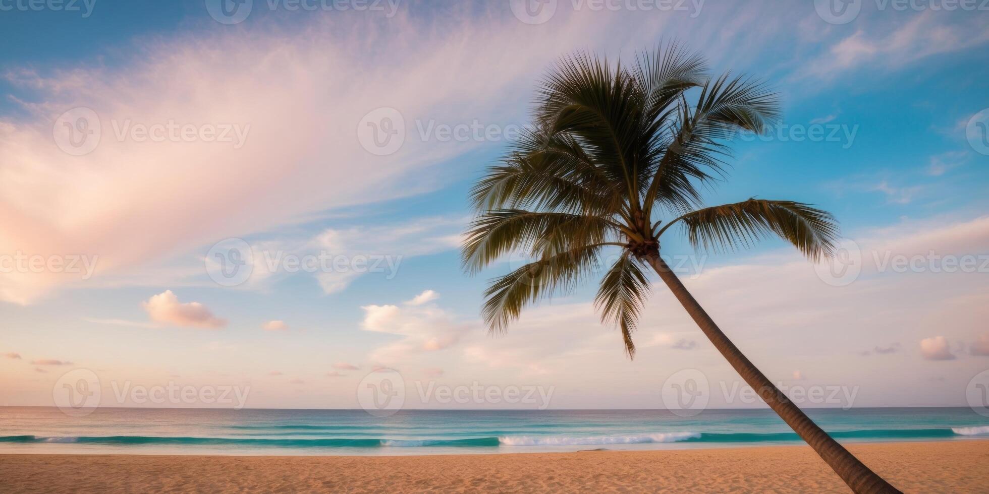 A palm tree on a beach with a blue sky photo