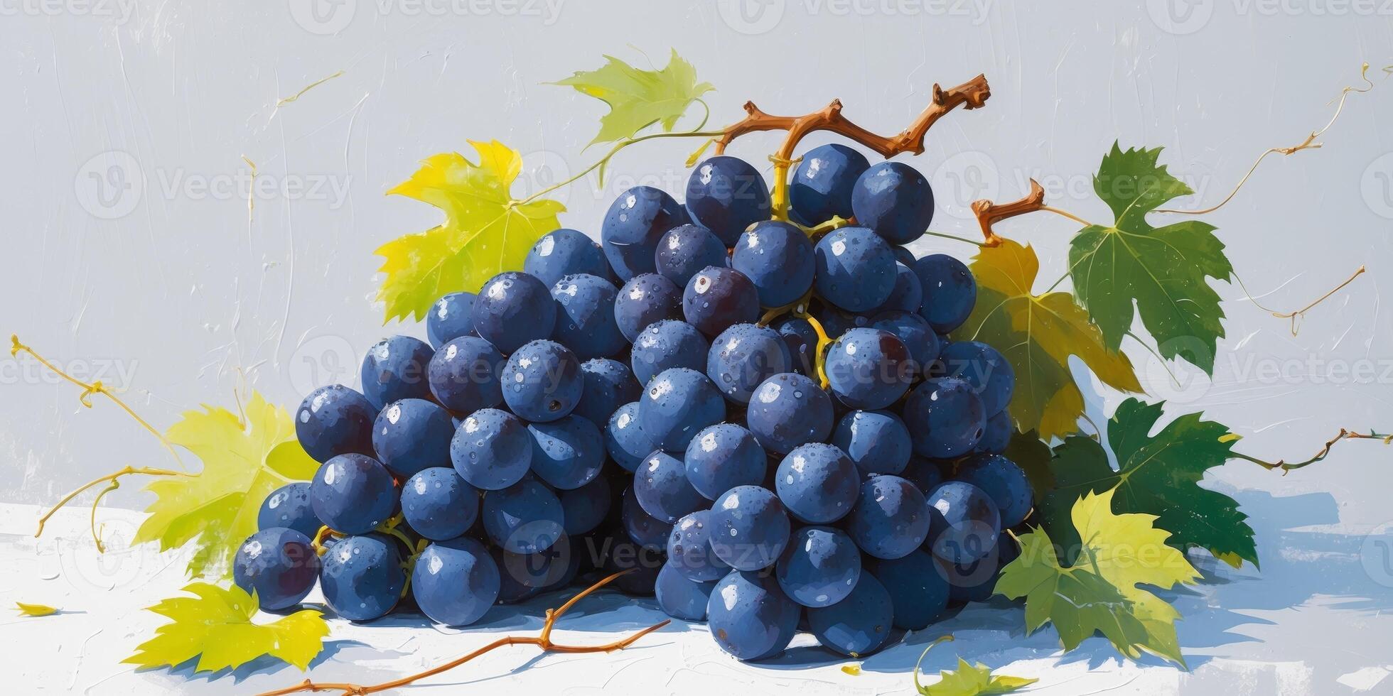 Bountiful harvest A cluster of ripe dark blue grapes ready for picking photo