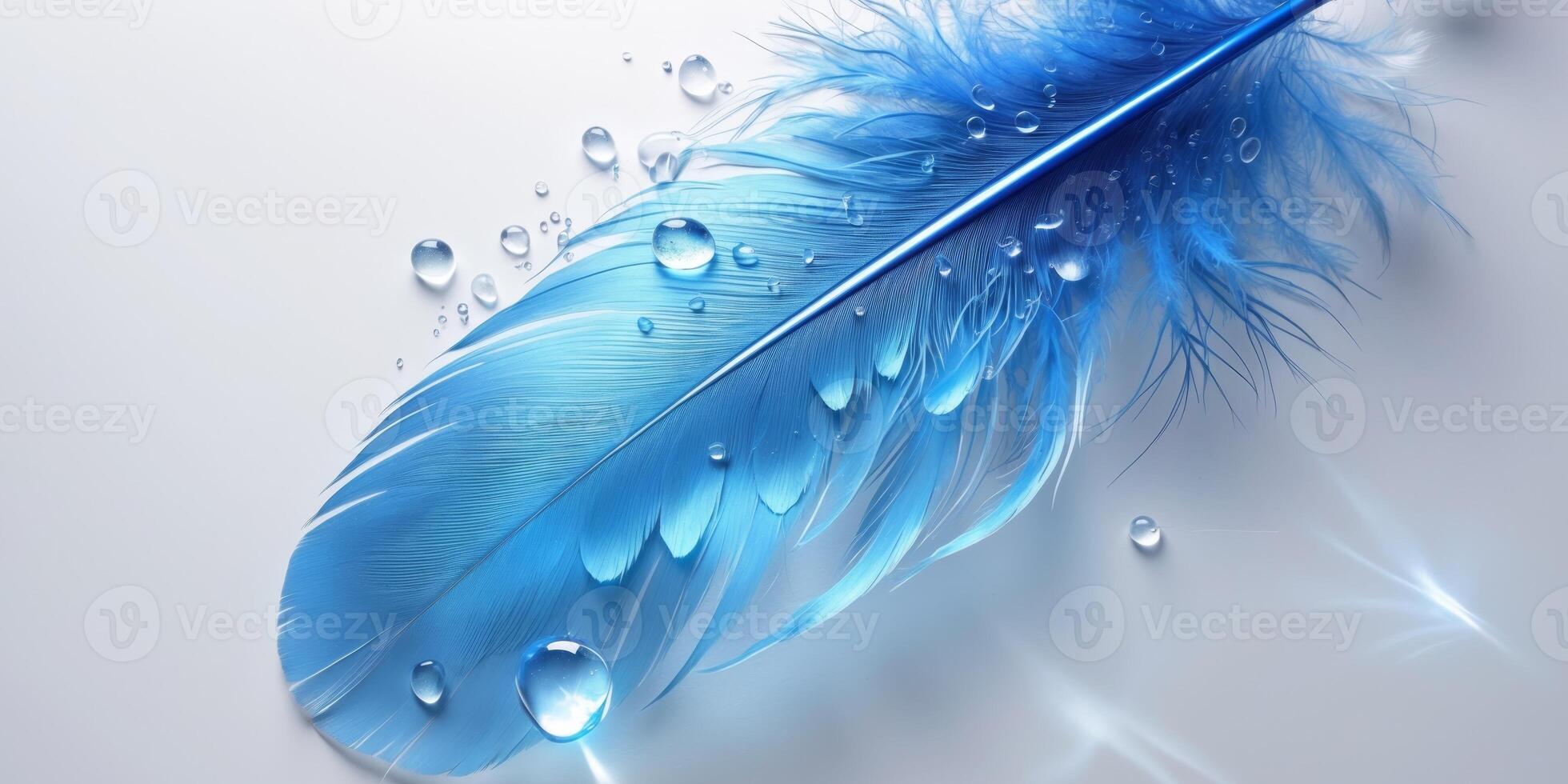 Blue feather with water droplets on it photo