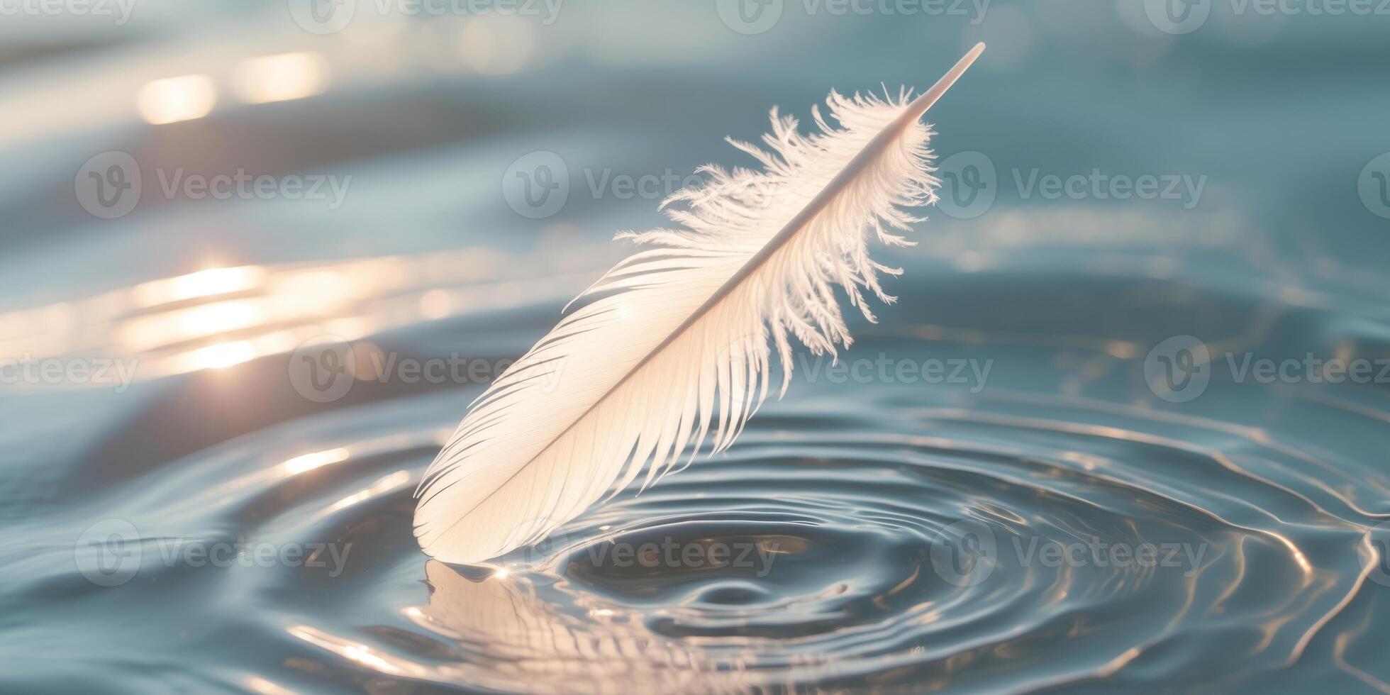 A feather is floating on a surface of water photo