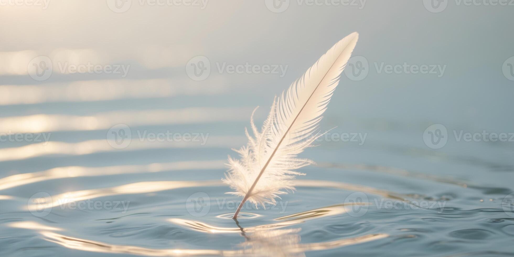 A feather is floating on a surface of water photo