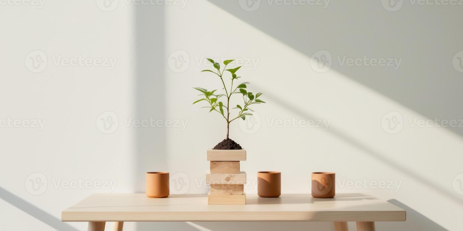 Small Green Plant Growing From Wooden Blocks on Table with Plant Pots photo