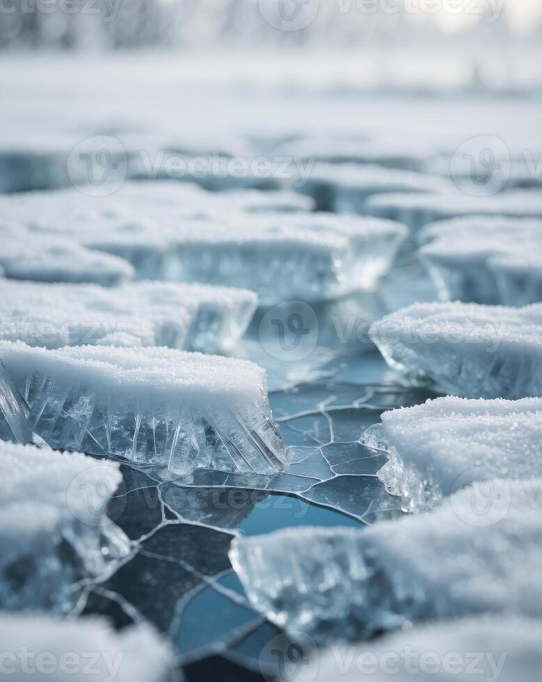 Ice cubes in the water photo