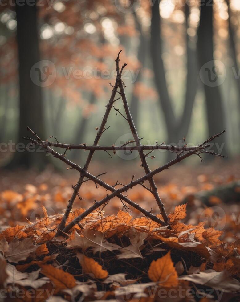 A star shaped object with leaves on the ground photo