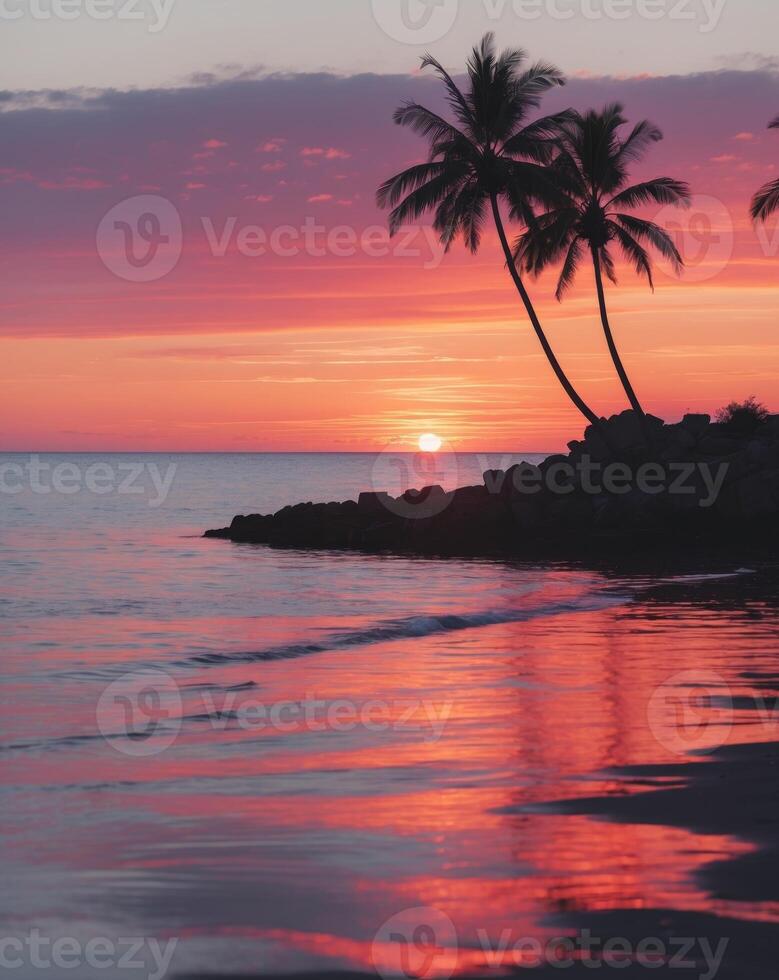 Stunning sunrise casts vibrant colors over calm waters with silhouetted palm trees in tranquil seaside setting photo