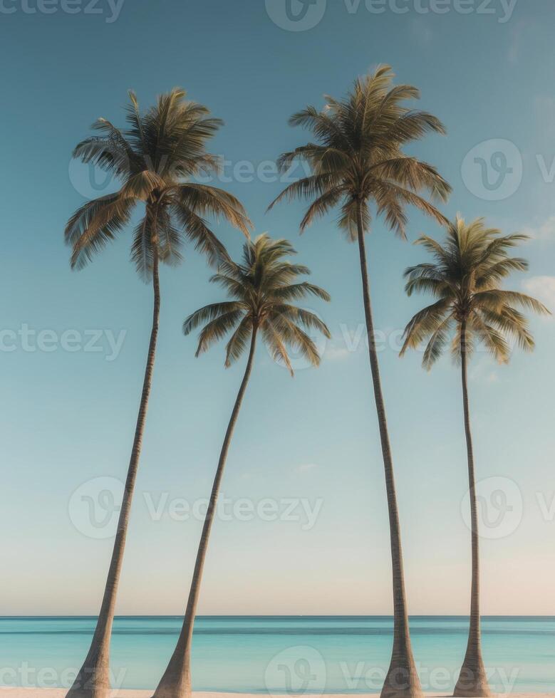 Tropical Beach Scene with Palm Trees and Clear Blue Sky photo