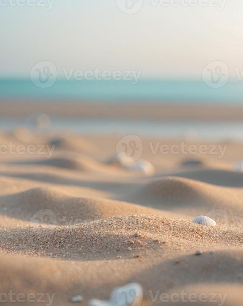 A beach with shells and sand photo