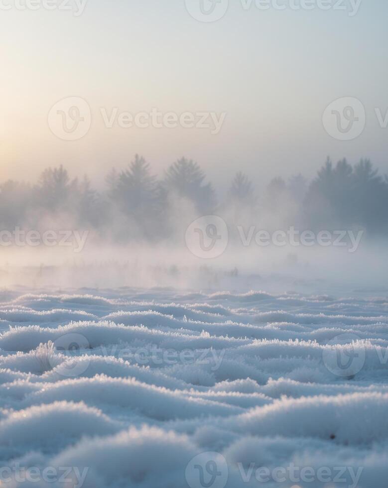 Serene Winter Morning with Frosty Landscape Glow photo