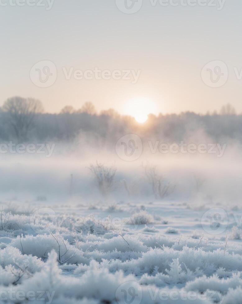 Serene Winter Morning with Frosty Landscape Glow photo