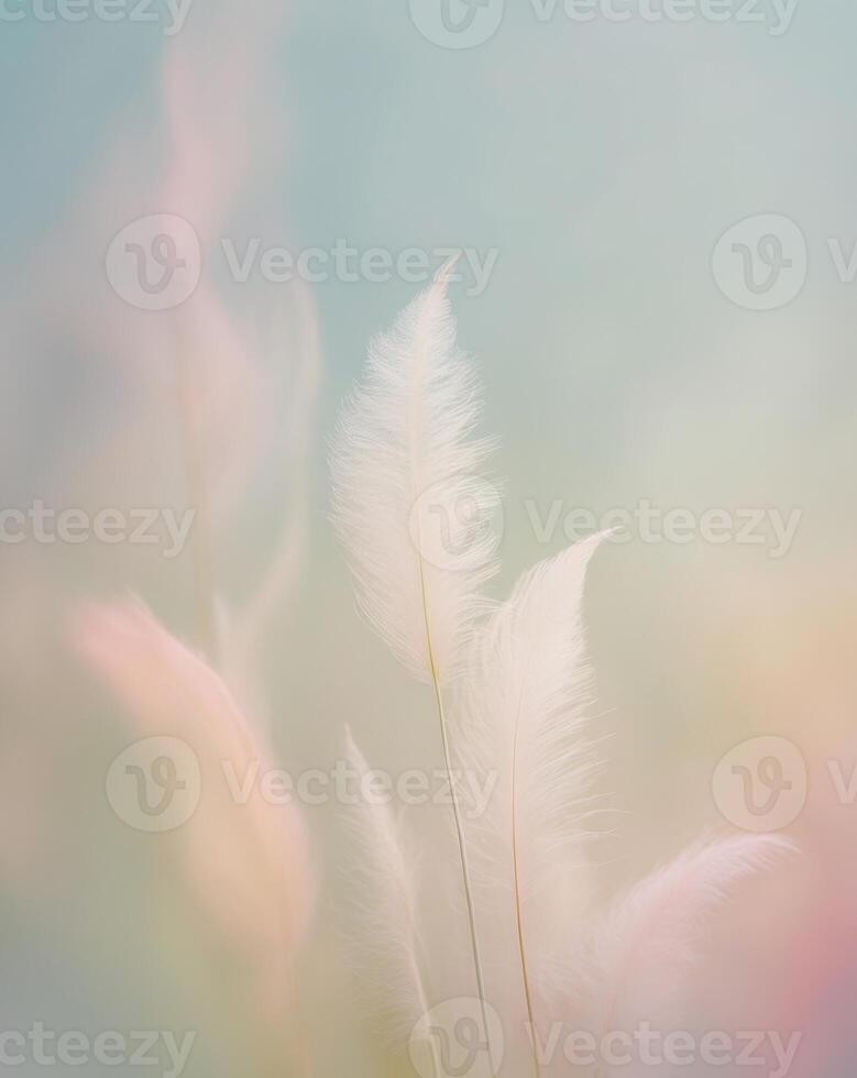 Soft Focus Color Gradients with Diffused Lighting photo