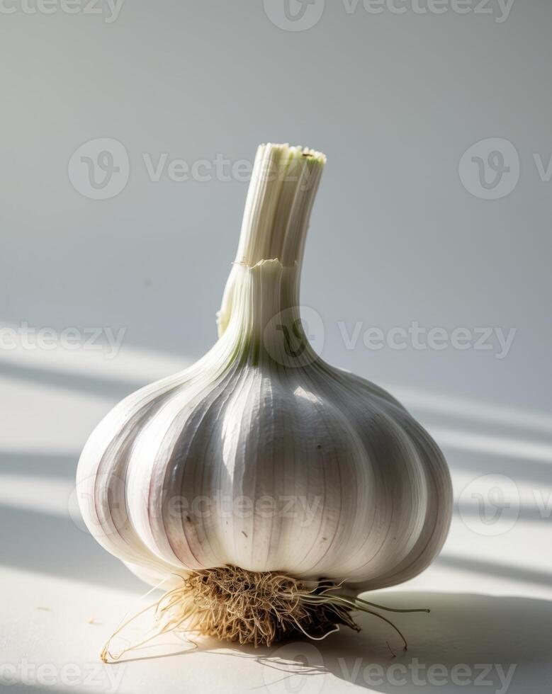 Close up of the vitality of freshly picked garlic photo