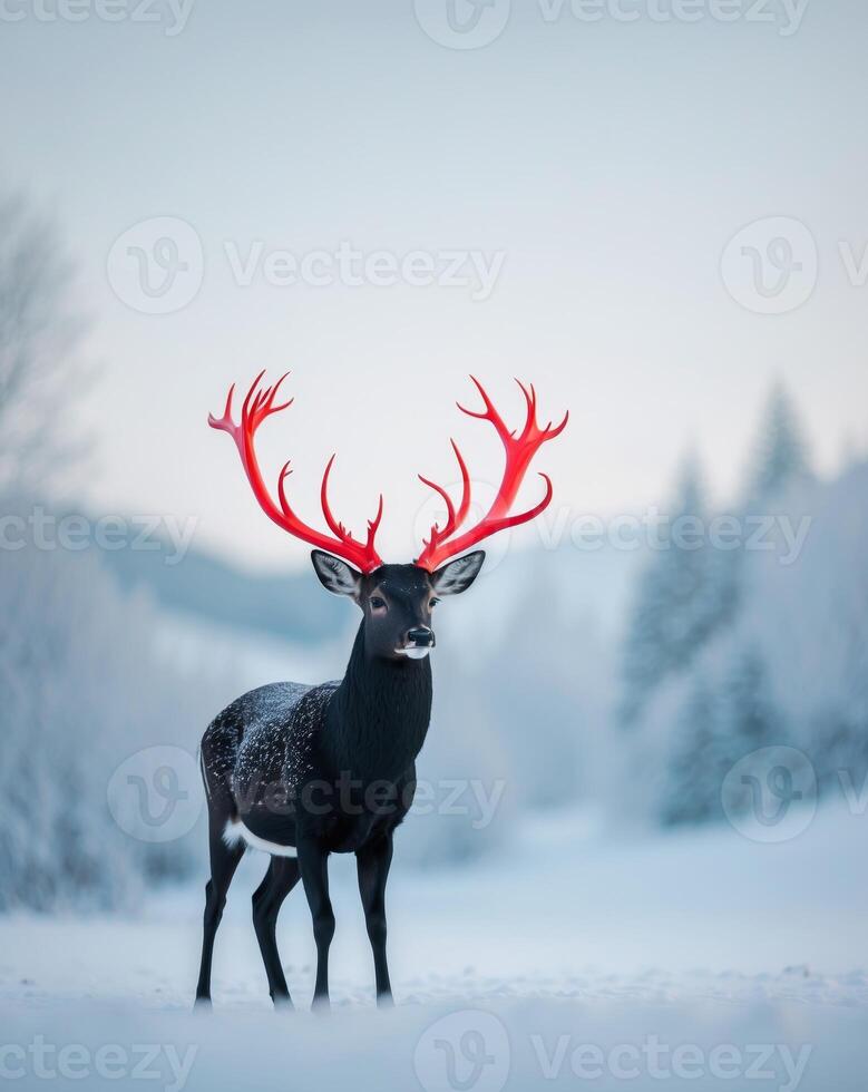 A deer with red antlers standing in the snow photo
