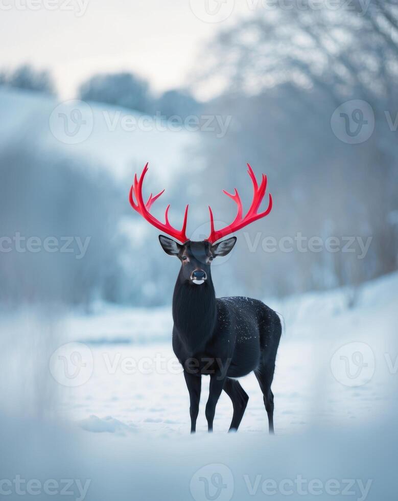 A black deer with red antlers standing in the snow photo