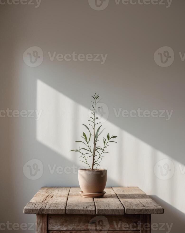 Dimly lit room with a potted plant on a wooden table photo