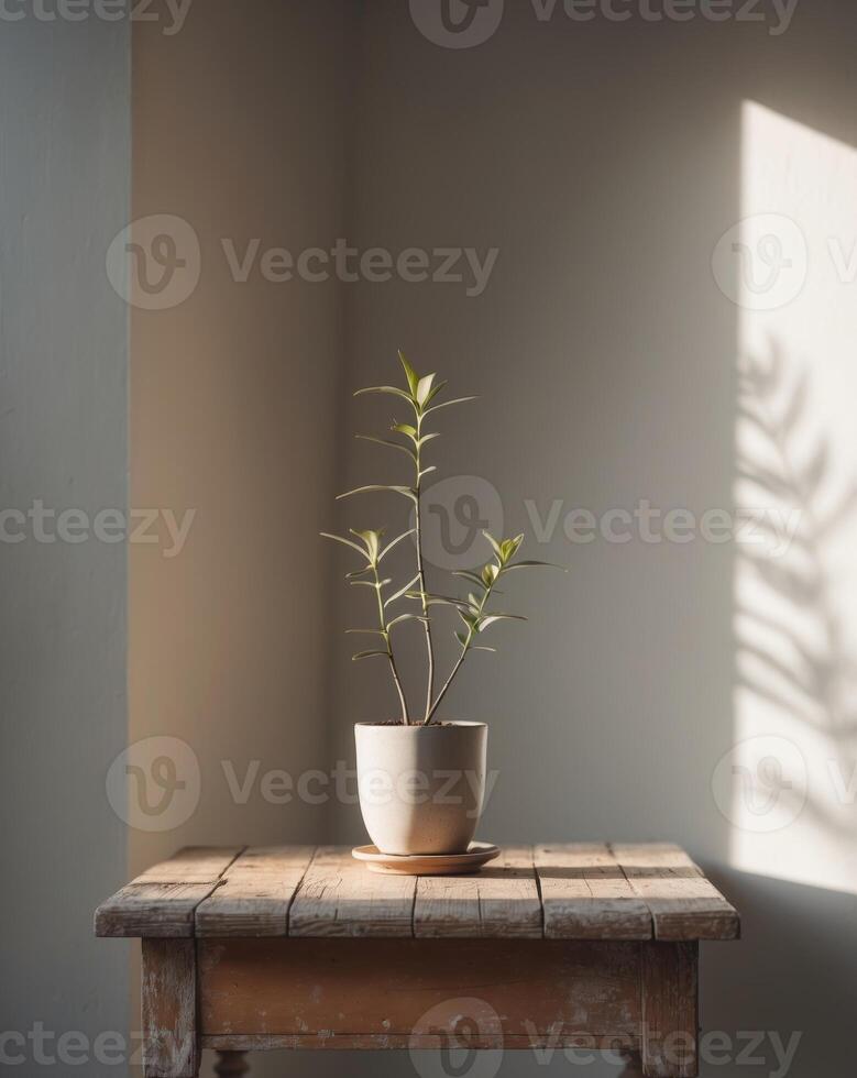 Dimly lit room with a potted plant on a wooden table photo
