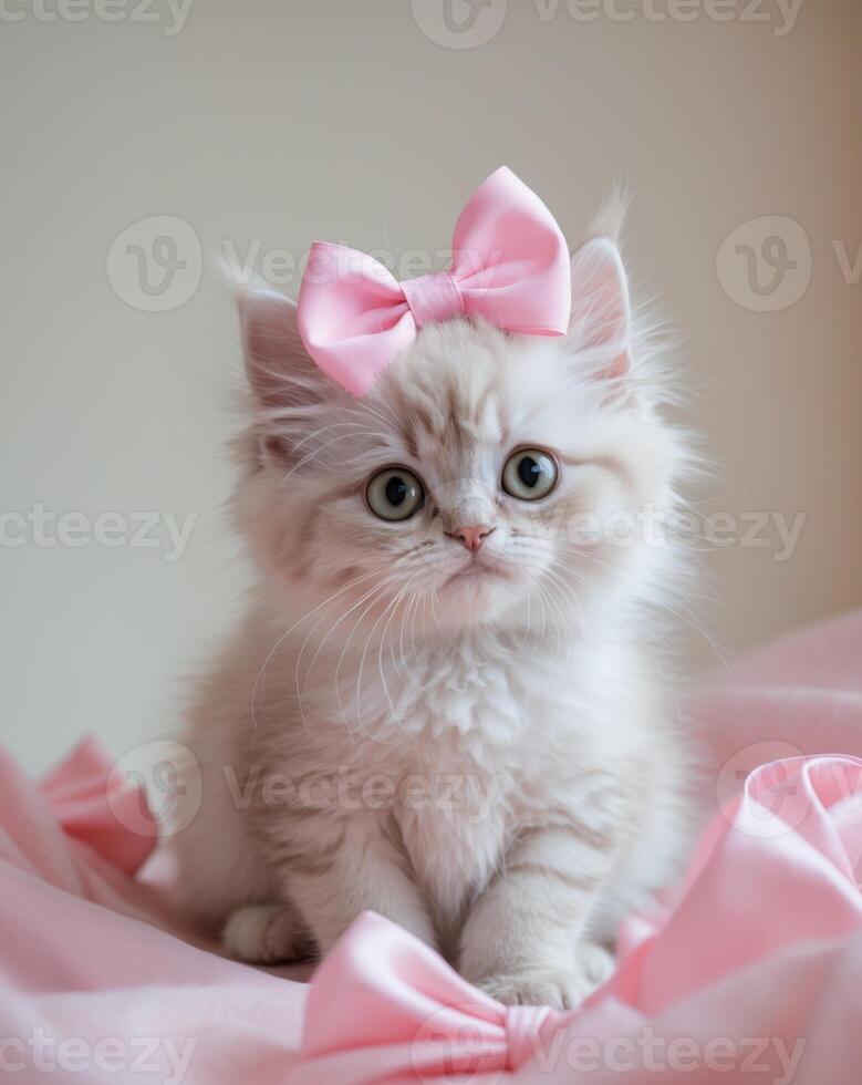A kitten with a pink bow sitting on a bed photo