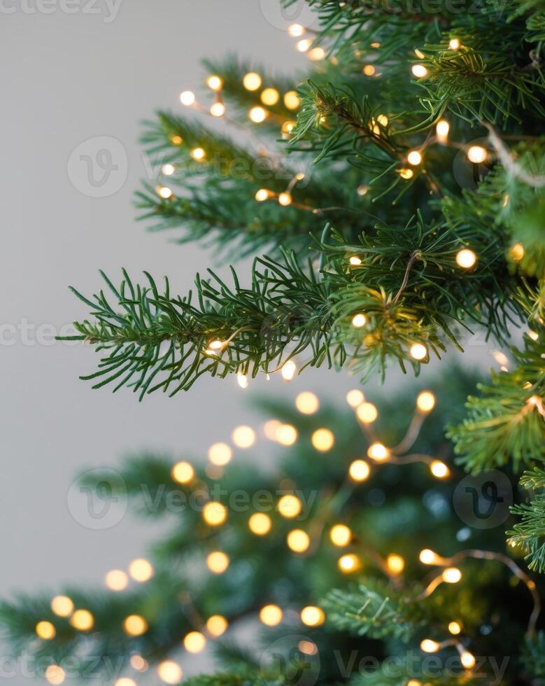 a close up of a festive tree with soft lights and foliage photo