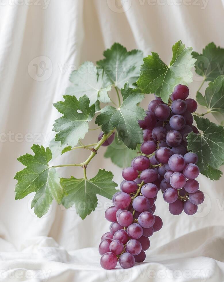 Grapes on a white cloth photo