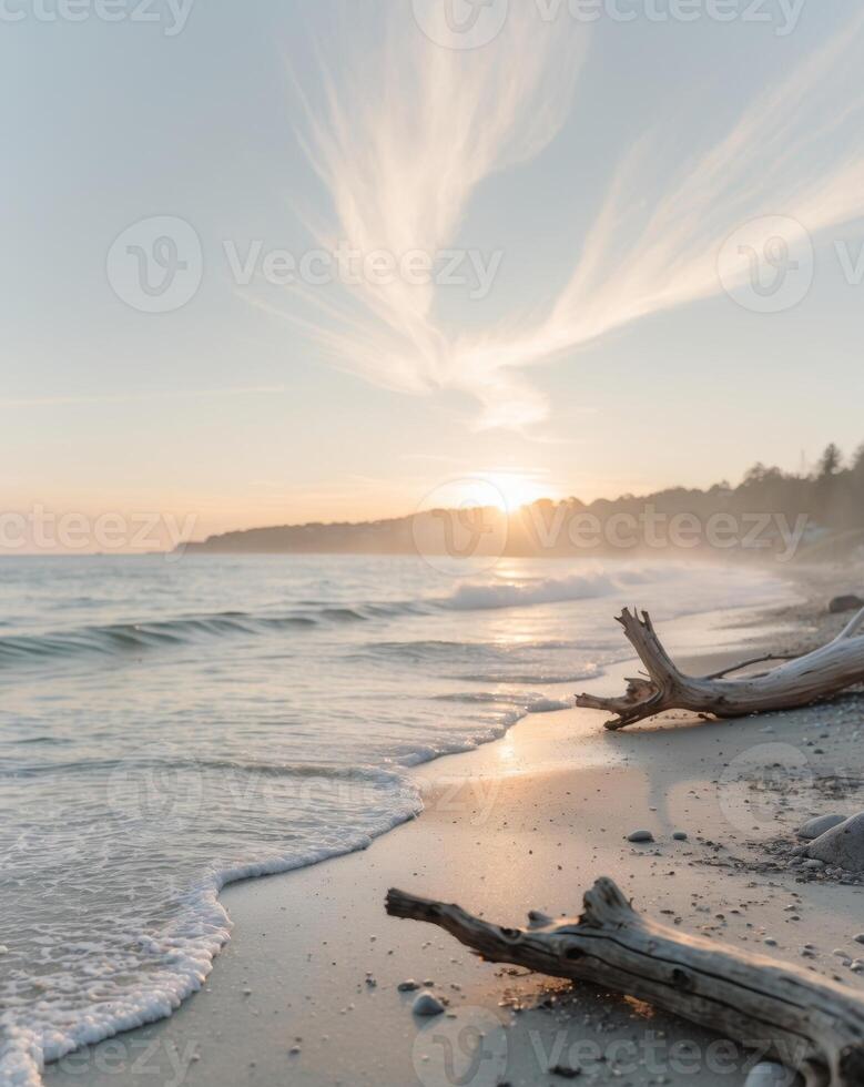 A beach with driftwood on the shore at sunset photo