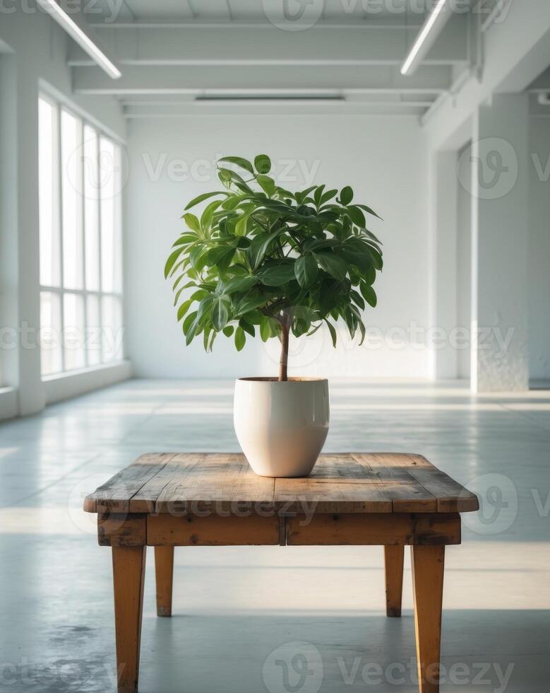 Potted plant sits on a wooden table in a large open office space photo