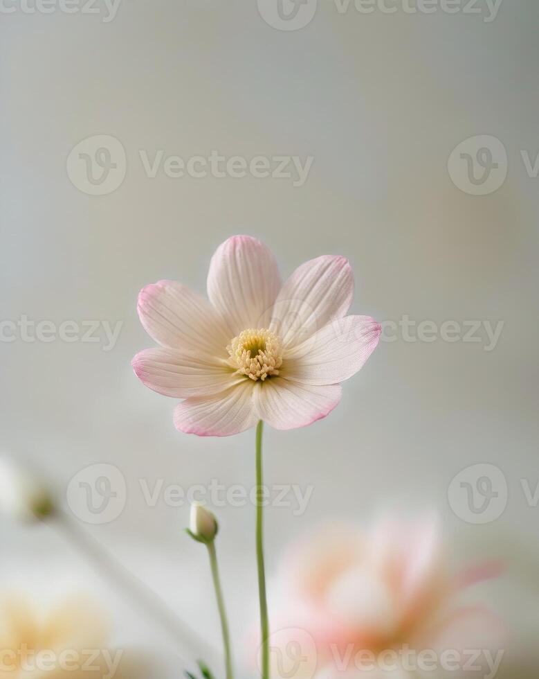 A single pink flower is in a vase with other flowers photo