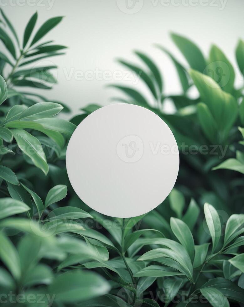 Green plants with white circle mockup on a grey background photo