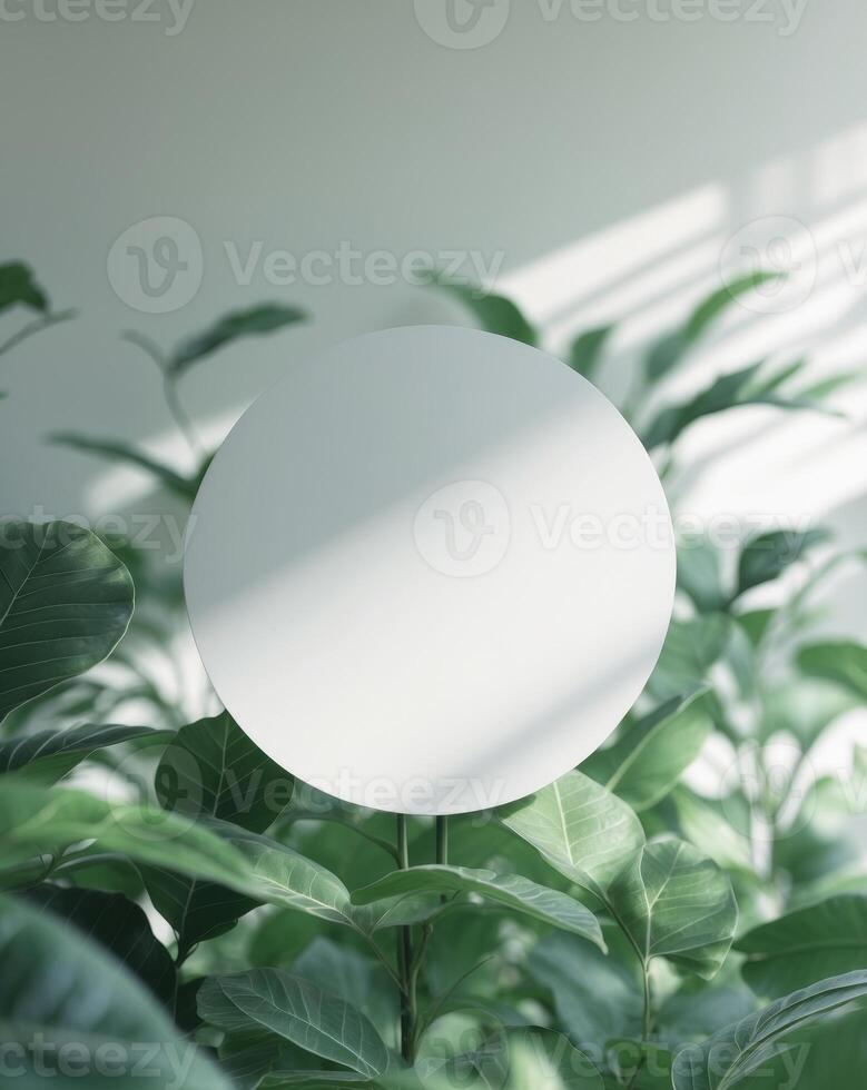 white blank circle with green leaves background photo
