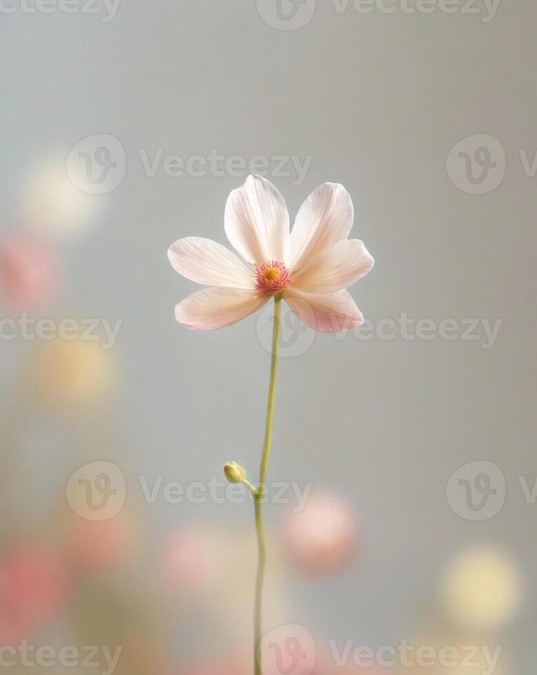 Selective Focus Flower Use selective focus to highlight a single photo