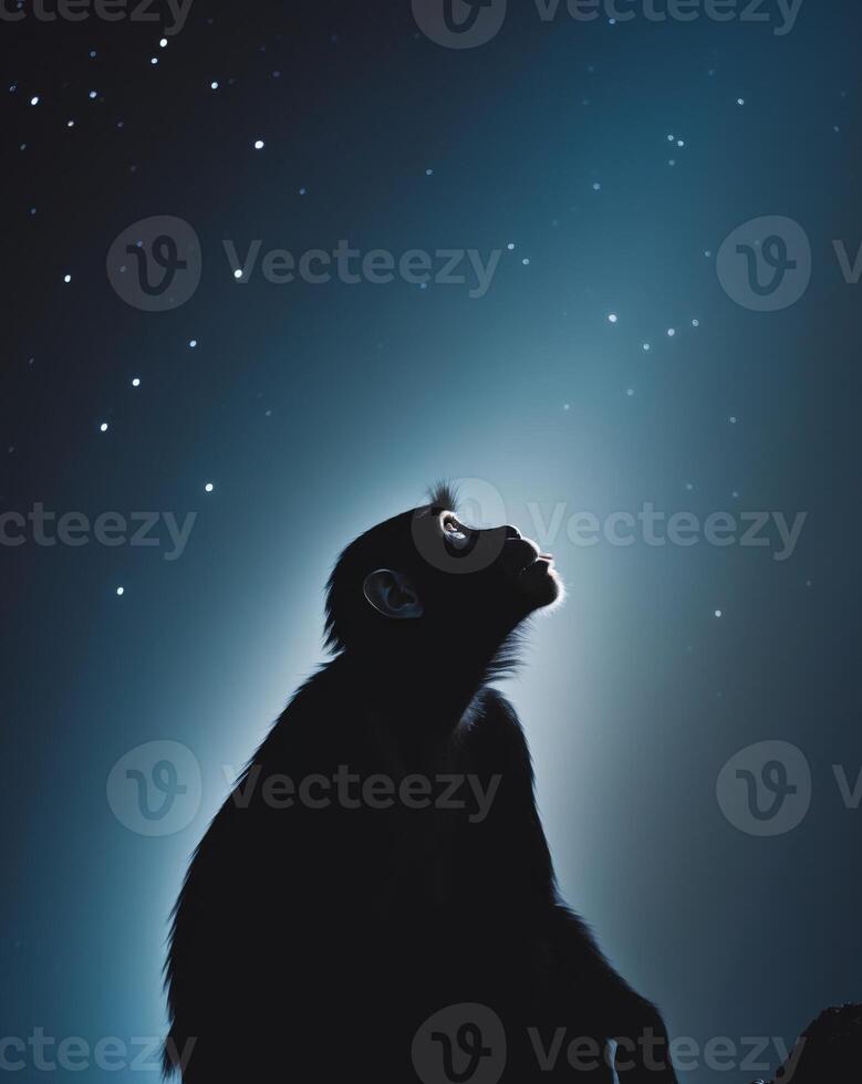 Silhouetted Primate Gazing Upwards In Darkness photo