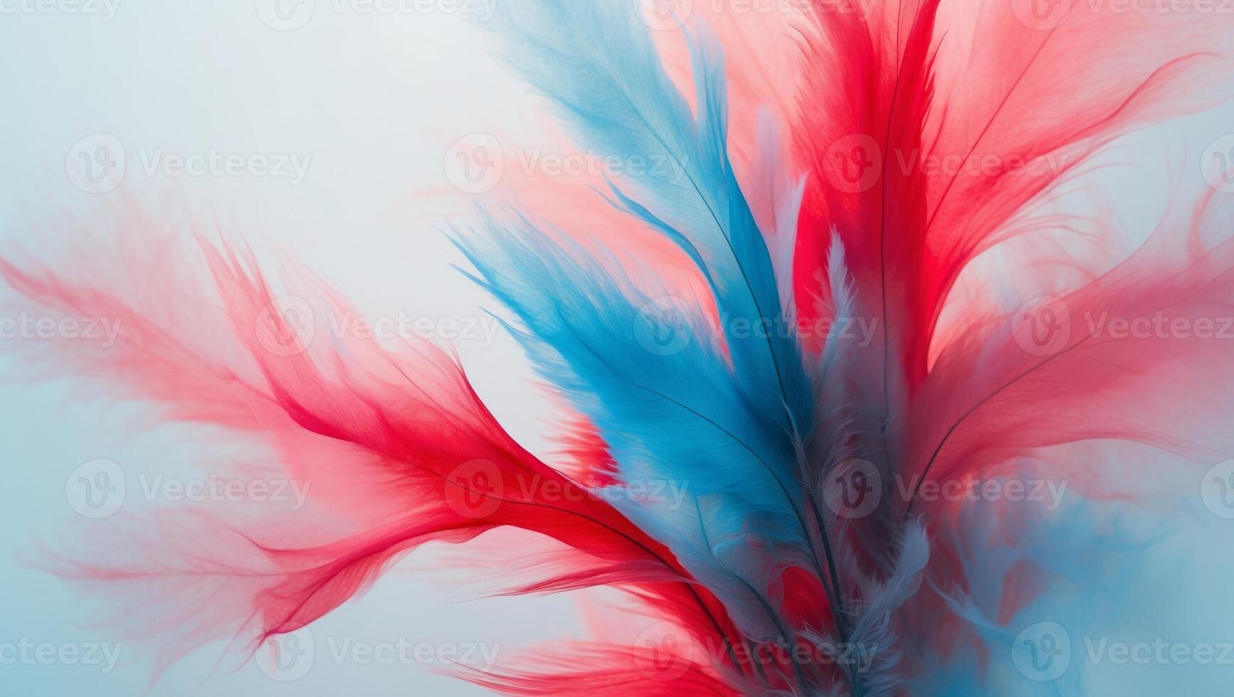 A close up of a red and blue feather photo