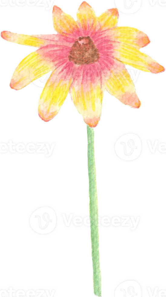 Gerbera Flower Watercolor by Hand-Painted, Yellow-Orange-Red Flower Art png