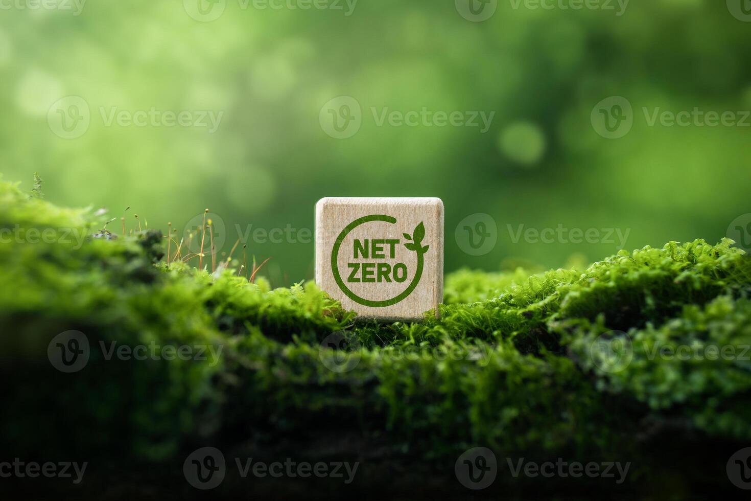Net zero and carbon neutral concept. Net Zero Greenhouse Gas Emissions Target, Climate Neutral Long-Term Strategy on Green Background photo